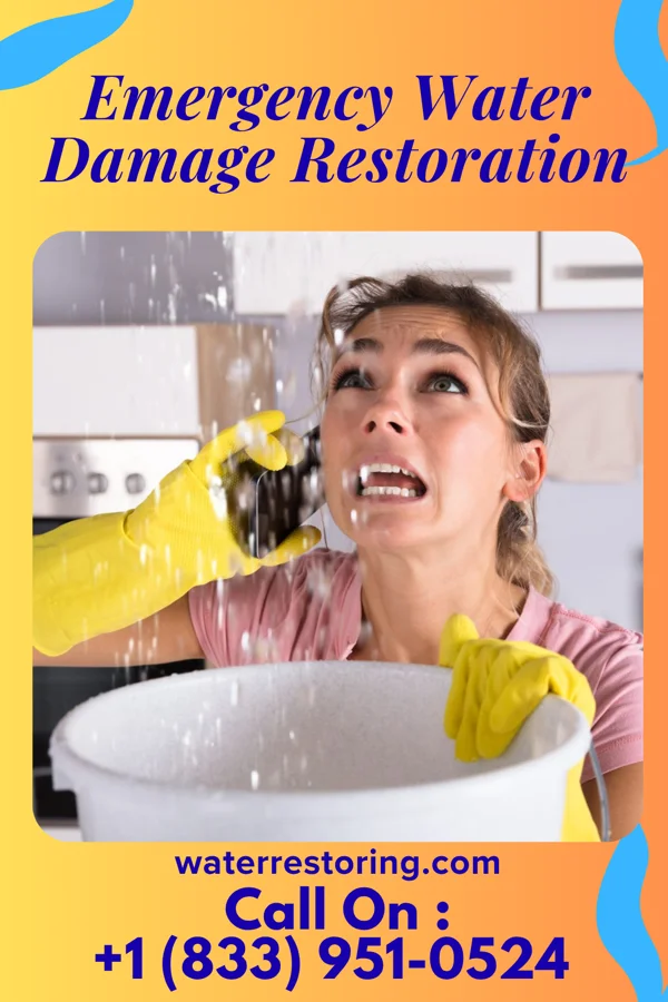 Emergency Water Damage Restoration in Willcox, AZ